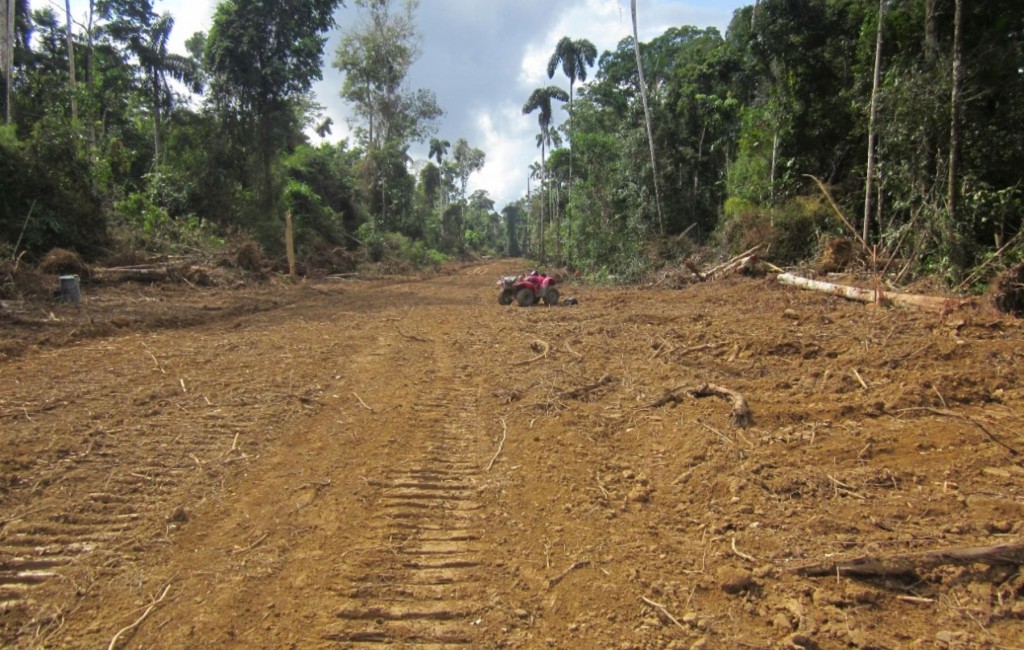 Cuestionada carretera en zona de amortiguamiento del Manu y Amarakaeri es promovida por el Gobierno Regional de Madre de Dios. (Foto: Archivo)