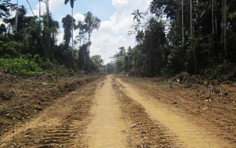 Abren proceso a gobernador regional de Madre de Dios por construcción de carretera en zona de amortiguamiento de Reserva del Manu.
