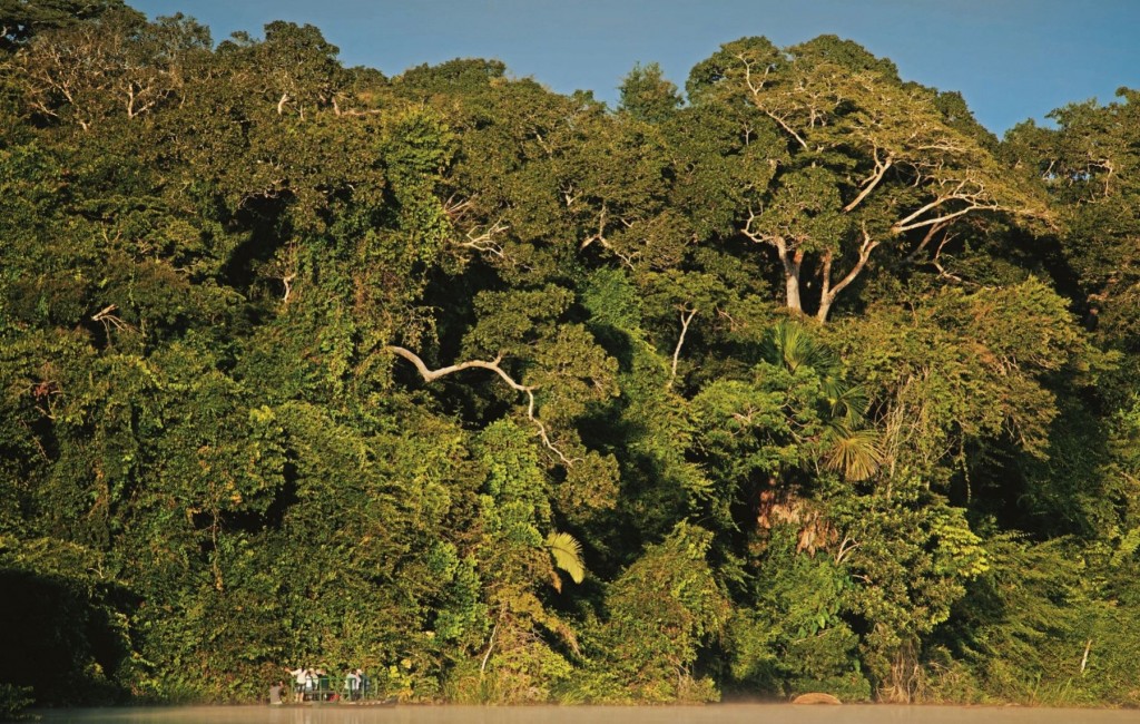 La ONU distinguirá proyectos de conservación ambiental que se ejecuta en el Parque Nacional Bahuaja Sonene.