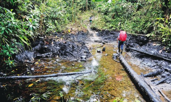 El pasado 8 de junio, las Farc derramaron 200 mil galones de petróleo en suelo nariñense, donde también están presentes los awás. / Nelson Sierra - El Espectador
