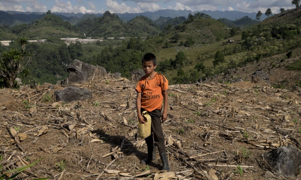 Un niño trabaja los cultivos cercanos a la hidroeléctrica Renace, en Cobán (Guatemala). PEDRO ARMESTRE