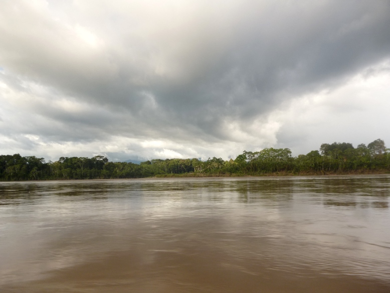 Río Santiago en la región Amazonas, selva norte de Perú. Foto: Donofré Chuco