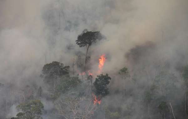 "El fuego está destruyendo selva preamazónica y amenaza con aniquilar a indígenas aislados por segunda vez en menos de un año." © INPE