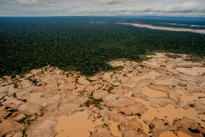 La Pampa: en la zona de amortiguamiento de la Reserva Nacional Tambopata. Foto: Tomás Munita para The New York Times.