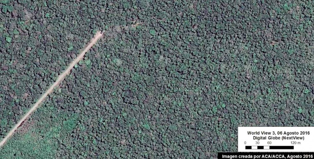 Imagen satelital tomada en agosto revela avance de la carretera. Foto: Conservación Amazónica y Amazon Conservation Association 