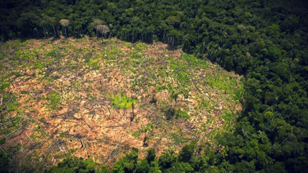 La Amazonía peruana abarca un total de 78’282,060 hectáreas. | Fuente: Foto: SPDA Actualidad Ambiental