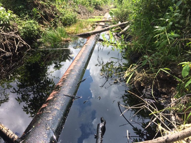 Derrame de petróleo en la Amazonía peruana. Foto: Barbara Fraser