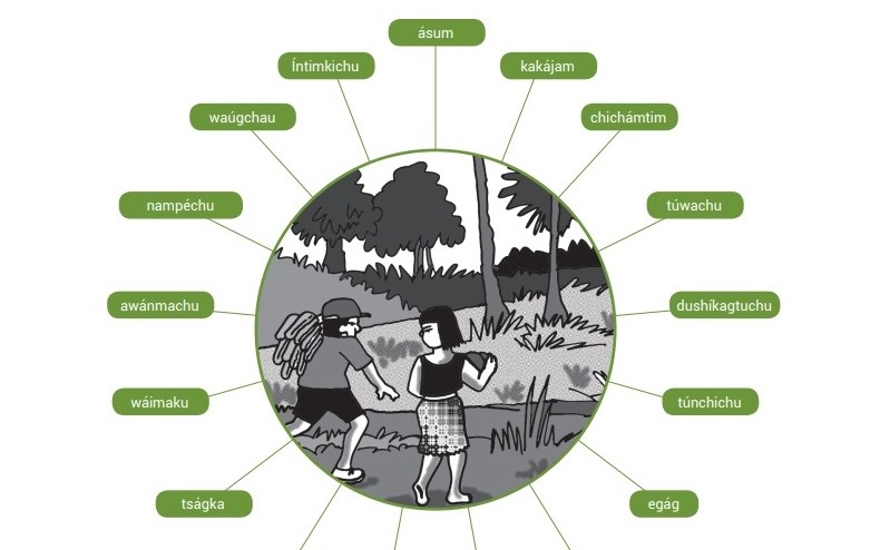Valores del Tajimat Pujut o Buen Vivir del pueblo Awajún. Captura de uno de los capítulos de la publicación