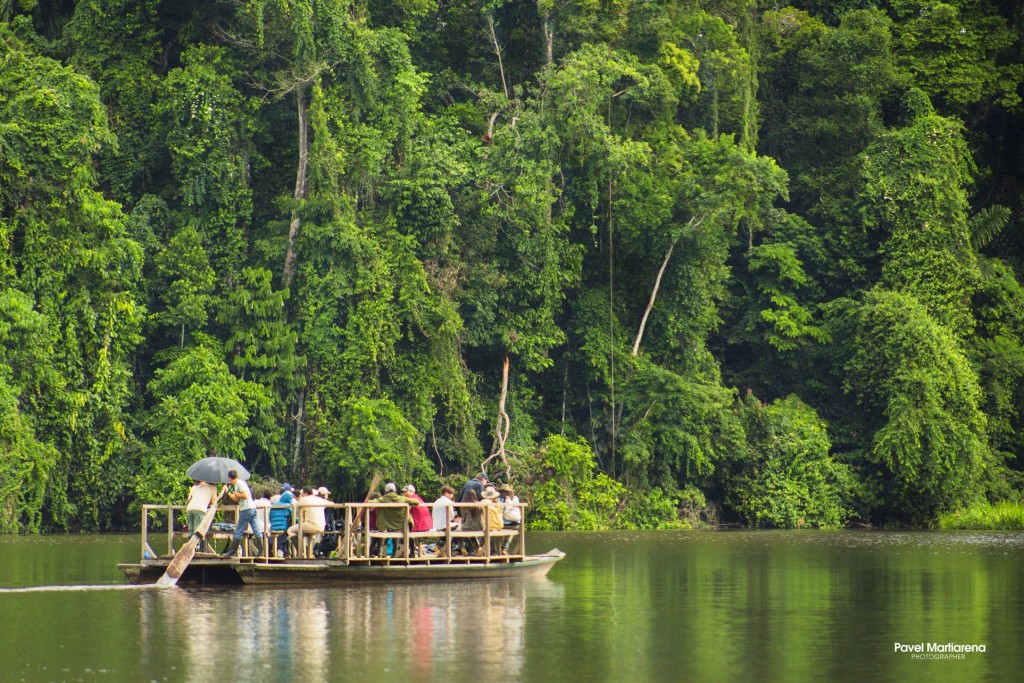 Reserva Nacional de Tambopata. Foto: Pavel Martiarena