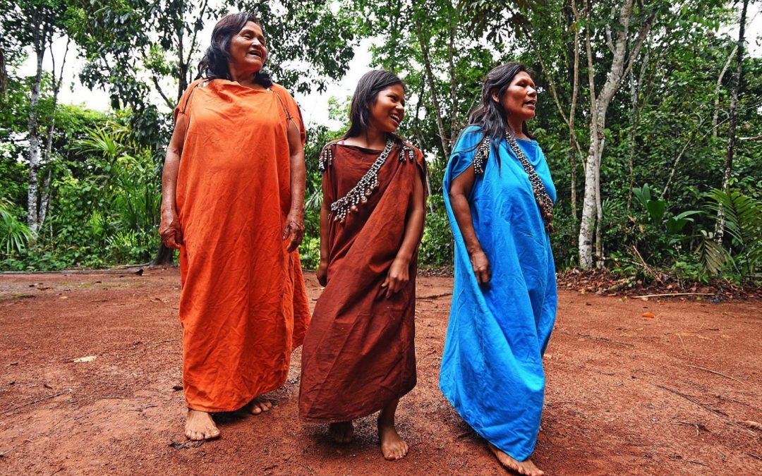 Aprueban plan para enfrentar covid-19 en comunidades indígenas y poblados amazónicos