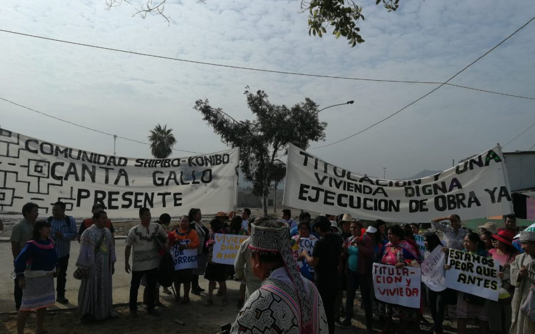 Cantagallo: dos años de lucha contra las cenizas
