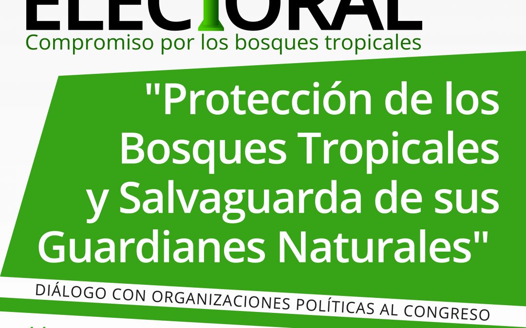 Elecciones 2020: Piden a candidatos incluir propuestas legislativas para proteger la Amazonía Peruana
