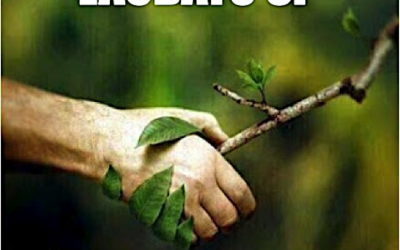 ‘Laudato Si’ como guía para liderazgos en política y gestión ambiental