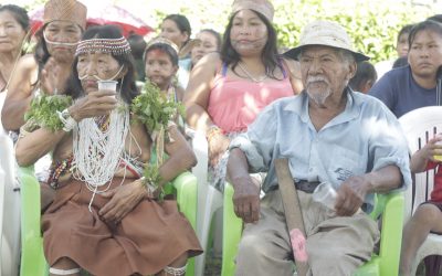 Carta a Vizcarra: Piden que no se escatime presupuesto para implementar los planes de atención a pueblos indígenas