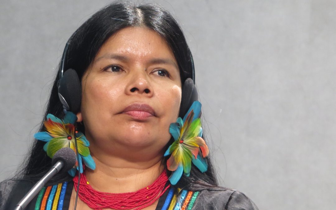 «Amazonizar es que, quien creía saberlo todo, re-aprenda mientras el olvidado le enseña». Patricia Gualinga, lideresa indígena de Ecuador