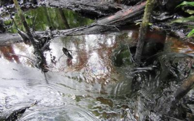 Sancionan a Petroperú por anterior caso de derrame de petróleo en Loreto