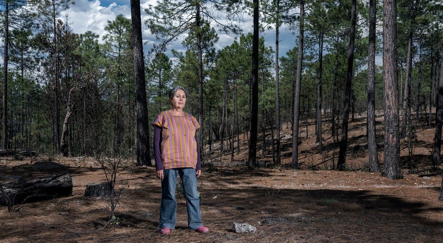 2017 fue el año con más asesinatos de personas defensoras de la tierra y del medio ambiente
