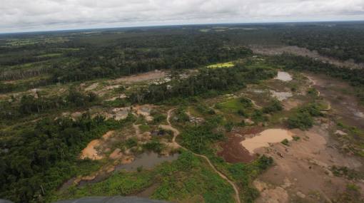 Aumentó tenencia colectiva del área forestal en países subdesarrollados