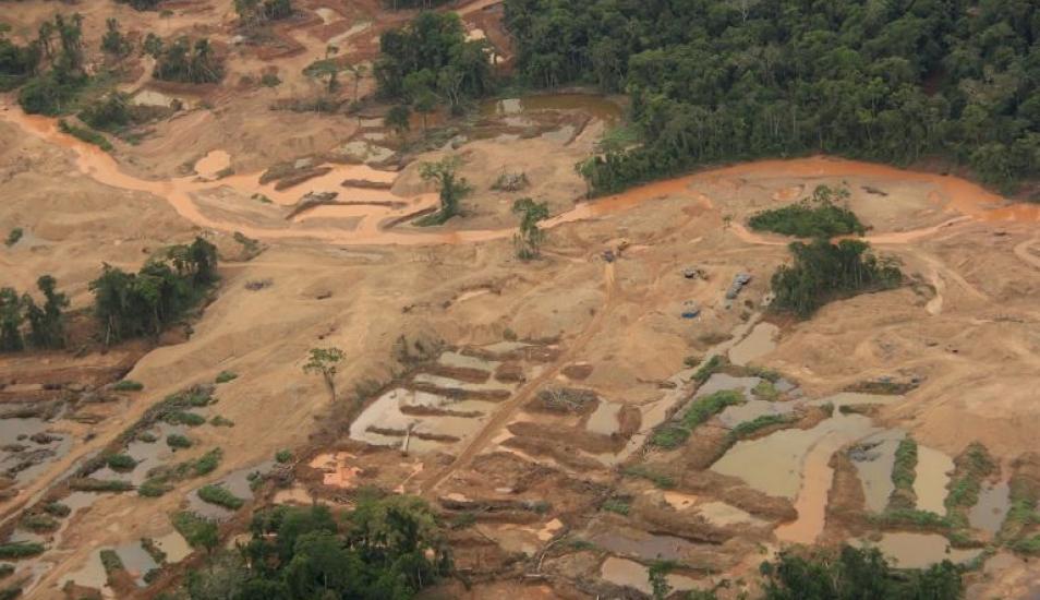 Amazonía perdió casi 30 millones de hectáreas de bosques primarios en 17 años