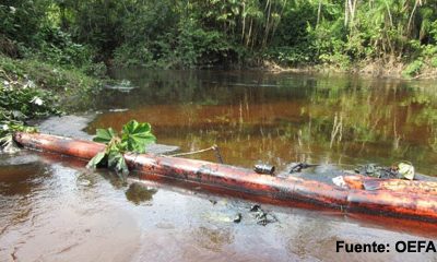 Defensoría del Pueblo solicita atención inmediata e indemnización para población indígena afectada por derrames petroleros en Amazonas y Loreto