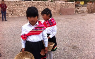 Chile: Entregan 45 mil hectáreas a comunidades indígenas en la región de Antofagasta