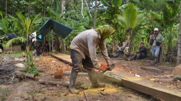 Ucayali: desalojan a madereros ilegales instalados en reserva