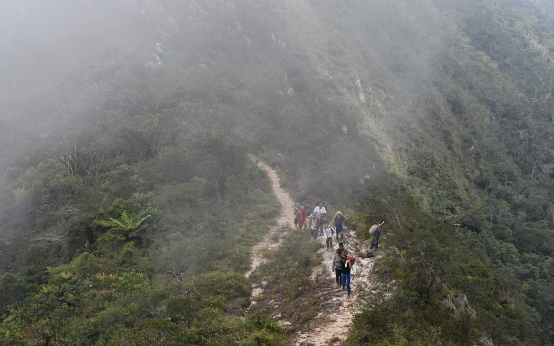 ACR Cordillera Escalera: ¿Elecciones en tiempo de Pandemia?