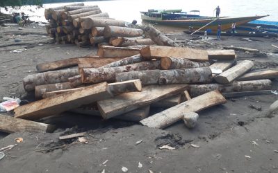 Condorcanqui: Denuncian que ecuatorianos extraen ilegalmente madera del río Santiago ante “pasividad e inacción” de las autoridades