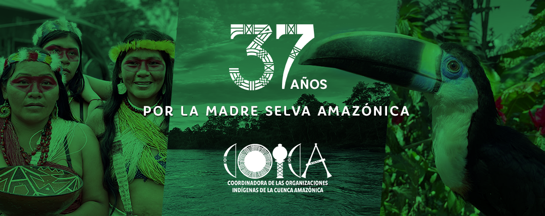 COICA: 37 años de existencia y lucha en defensa de la Amazonía y sus pueblos