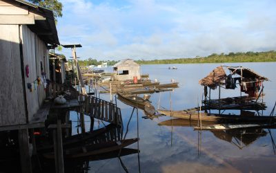 La Amazonía en los planes de Gobierno: la gran relegada