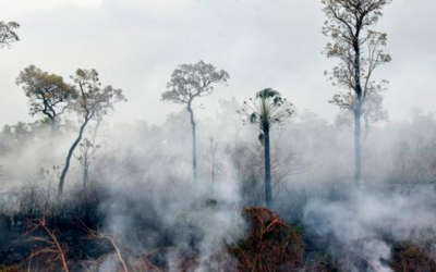 Brasil: Deforestación se incrementó en un 67% en la Amazonía