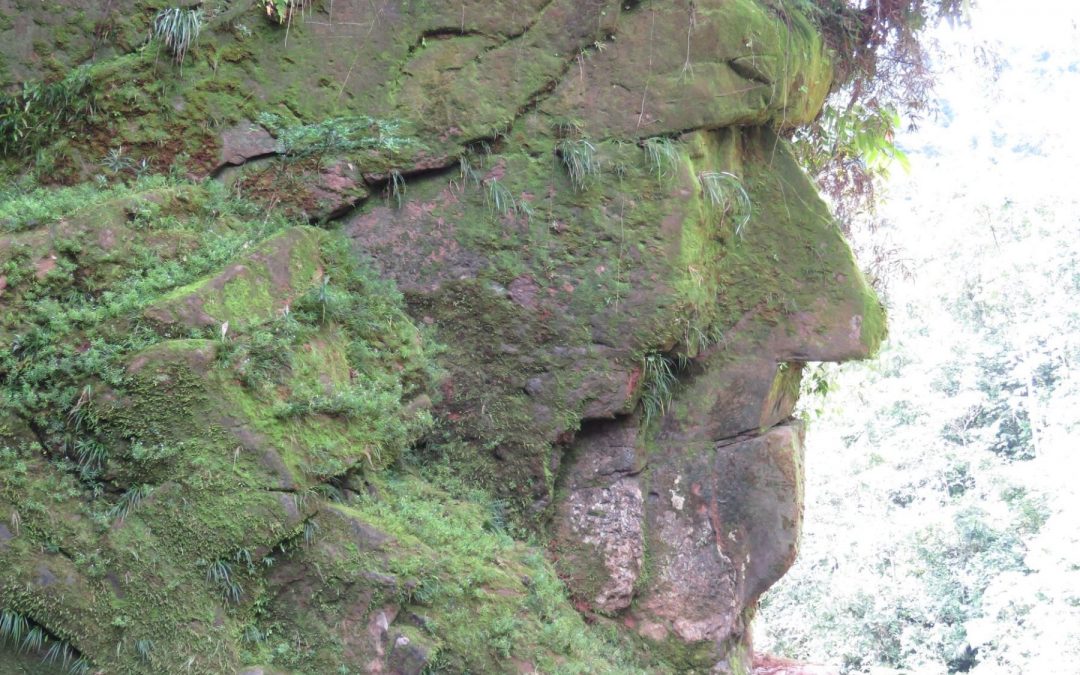 Madre de Dios: Reconocen como Patrimonio Cultural al monumento sagrado Rostro Harakbut