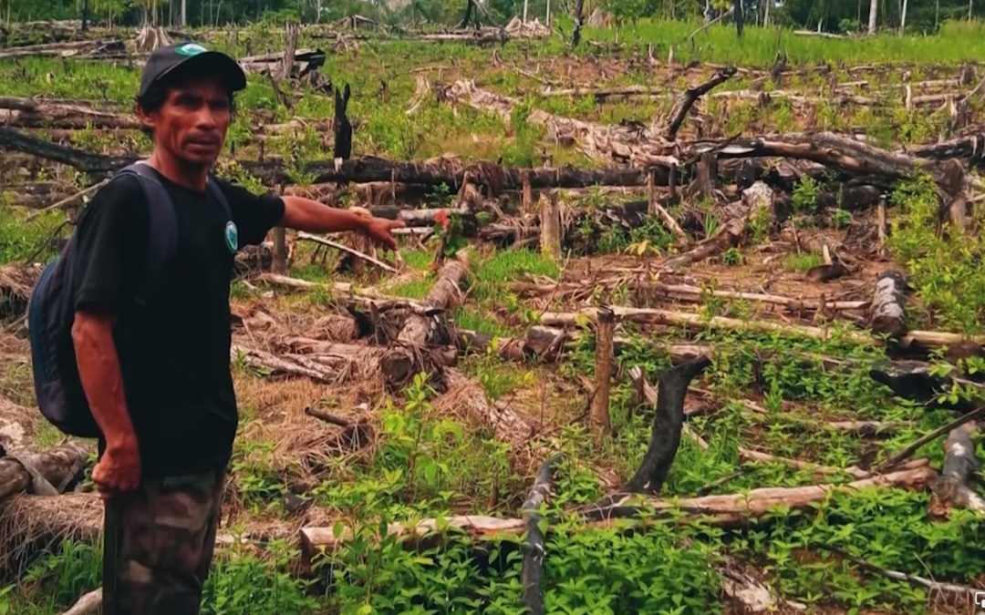 San Martín: Apus de Santa Rosillo de Yanayacu son amenazados de muerte por proteger sus tierras de invasores ilegales