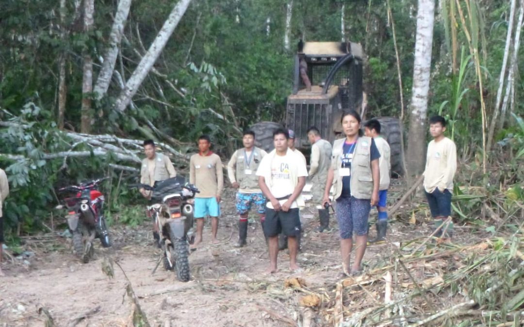 Frontera Perú – Brasil: Denuncian conflicto entre indígenas y empresas madereras por destrucción de bosques