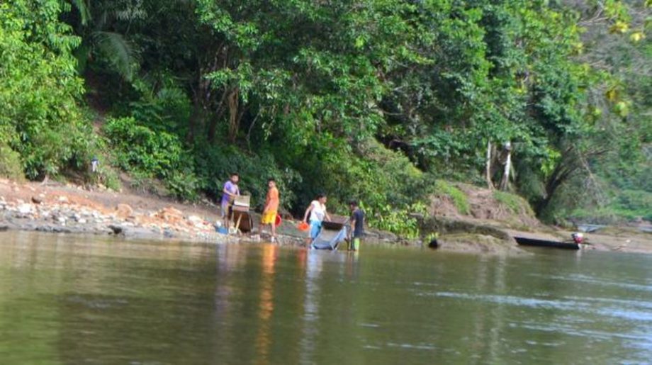 El Cenepa (Amazonas): Defensores acusados de secuestrar a presuntos mineros ilegales aseguran, en jucio oral, ser inocentes