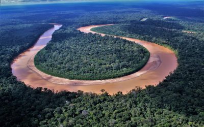 Presentan banco de datos para apoyar investigaciones sobre la Amazonía