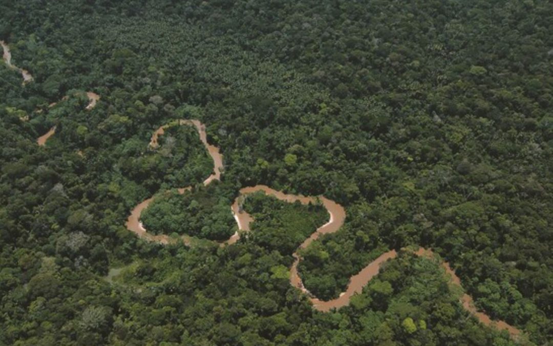 Perú suscribe la declaración sobre bosques y uso de la tierra en la COP26