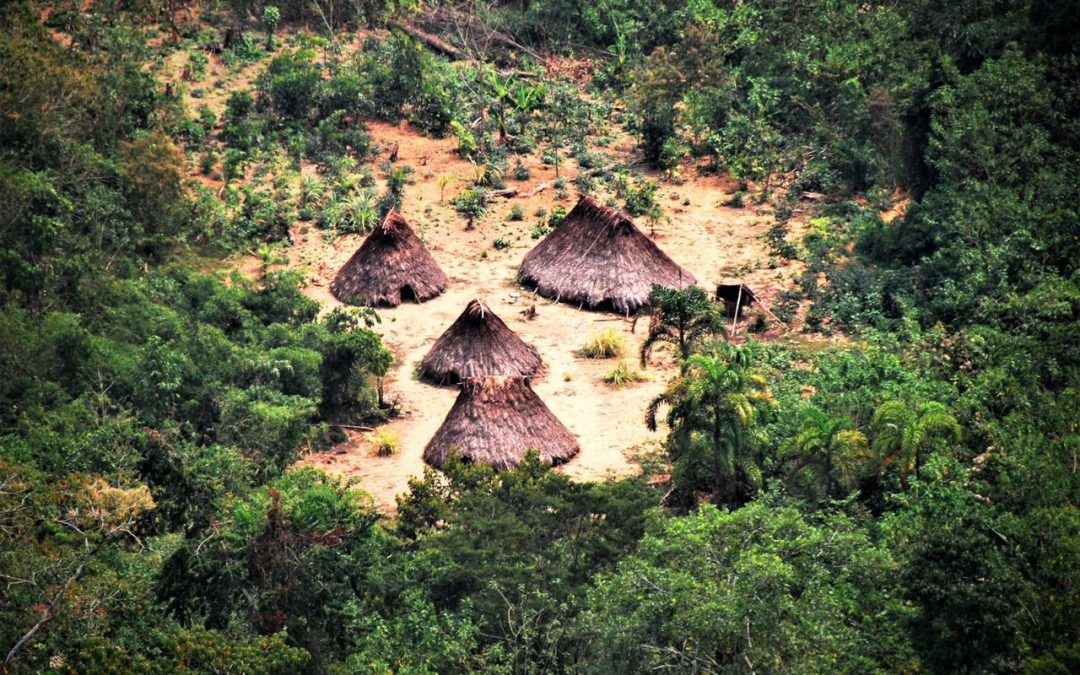 Ministerio de Cultura: Inscripción de Reserva Indígena Yavarí Tapiche en Sunarp brinda seguridad jurídica en más de un millón de hectáreas