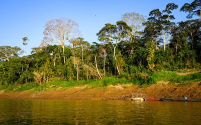La deforestación por minería de oro aumentó un 90% en la Amazonía