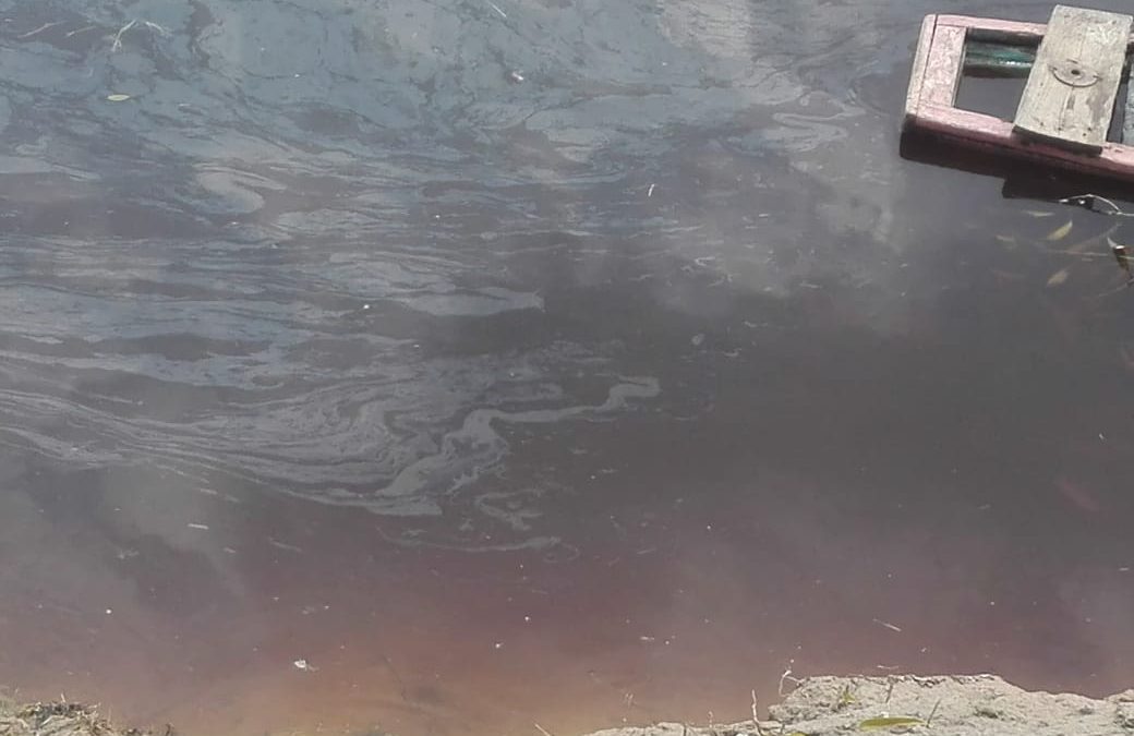 Loreto: Comunidad reporta agua contaminada tras derrame en el Oleoducto Norperuano