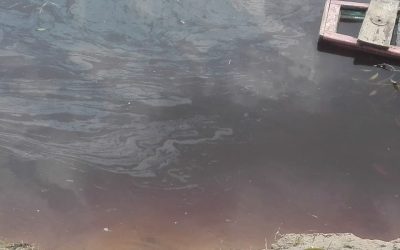 Loreto: Comunidad reporta agua contaminada tras derrame en el Oleoducto Norperuano