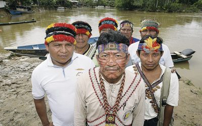 Tribunal Constitucional falla en contra de los derechos de los pueblos indígenas