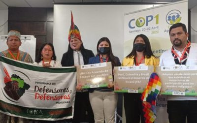 Pueblos indígenas de la Cuenca Amazónica demandan participación en la implementación del Acuerdo de Escazú