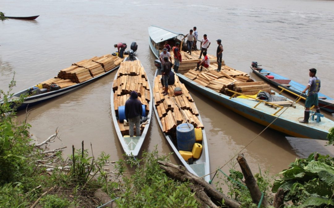Amazonas: Se agrava la situación de líderes wampís por combatir la extracción ilegal de madera y oro