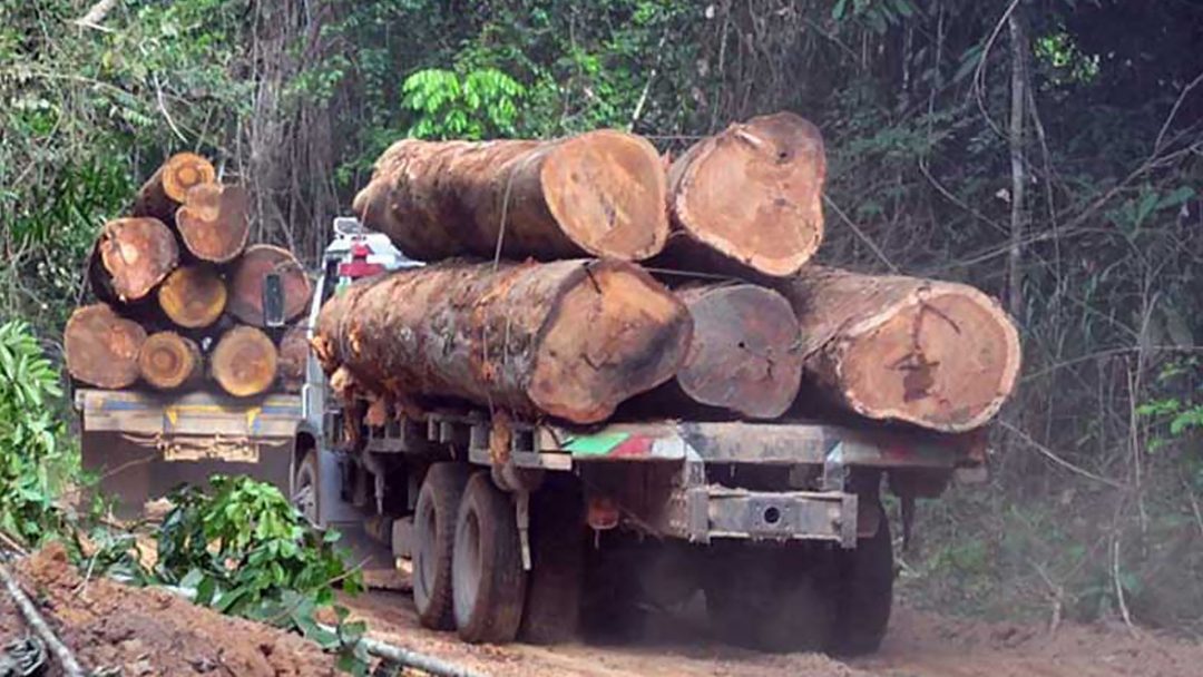 Amazonas: Gobierno declara en emergencia a Condorcanqui por tala y minería ilegal
